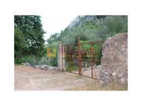 Selva 38098&nbsp;m²