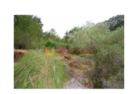 Selva 38098&nbsp;m²