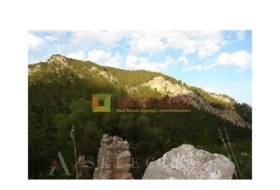 Selva 38098&nbsp;m²