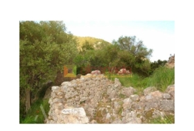 Selva 38098&nbsp;m²