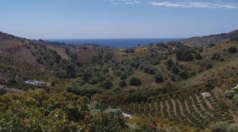 Malaga - Frigiliana - 10536m2