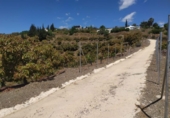 Земля на продажу у города Frigiliana Фото