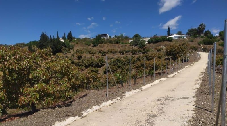 Malaga - Frigiliana - 10536m2