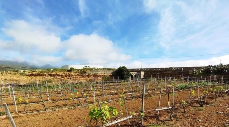 Santa Cruz de Tenerife - Villa de Arico - 3839m2