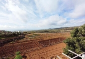 Terreno no urbanizable en venta en la España, Villa de Arico, ref: TR410830 foto