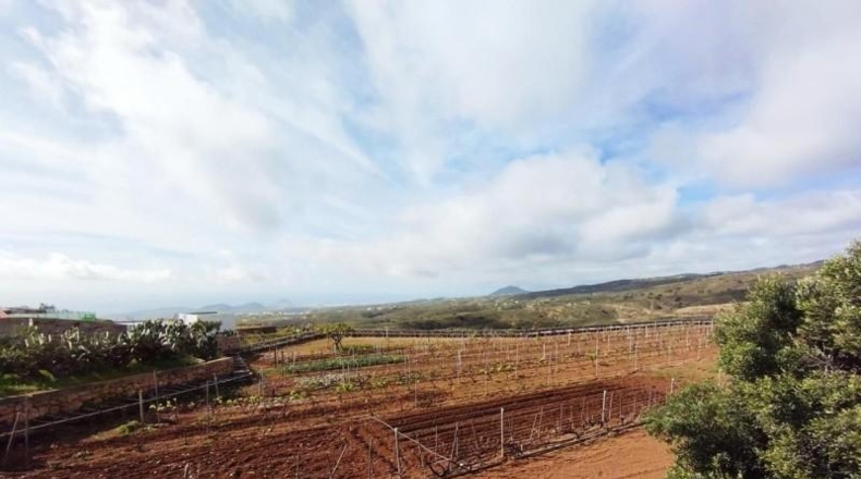 Santa Cruz de Tenerife - Villa de Arico - 3839m2