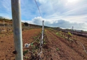 Terreno no urbanizable en venta en la España, Villa de Arico, ref: TR410830 foto