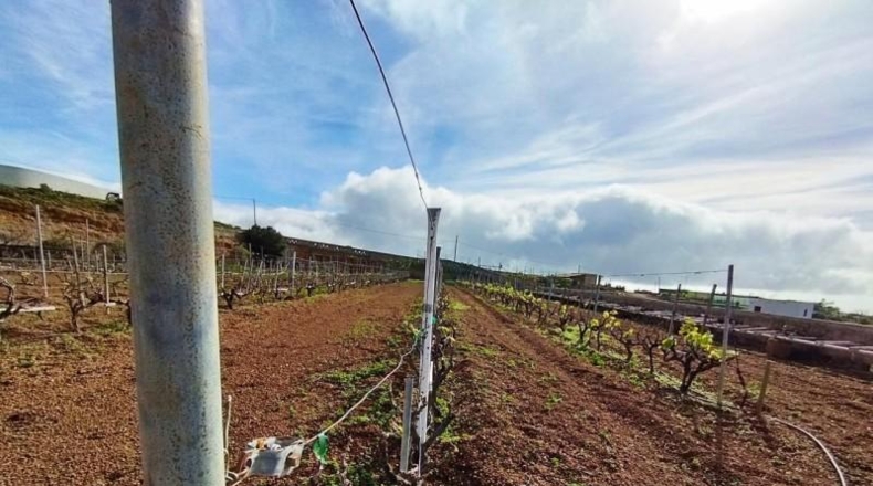 Santa Cruz de Tenerife - Villa de Arico - 3839m2