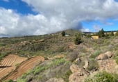 Terreno no urbanizable en venta en la España, Granadilla de Abona, ref: TR410834 foto