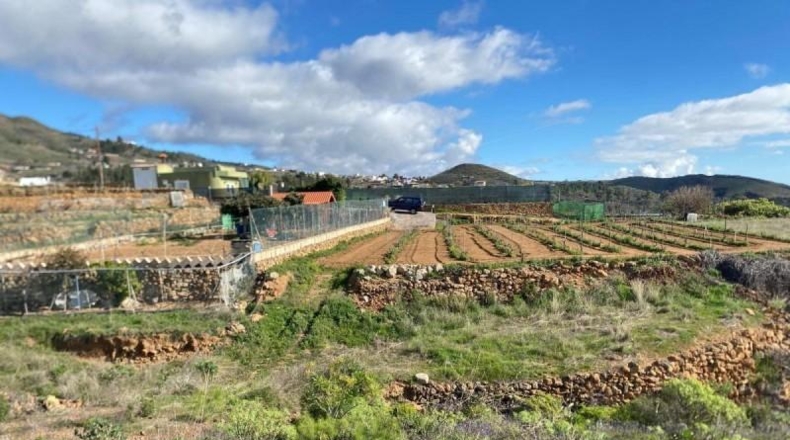 Santa Cruz de Tenerife - Granadilla de Abona - 8970m2