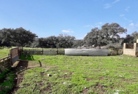 Fuente Obejuna 257600&nbsp;m² 