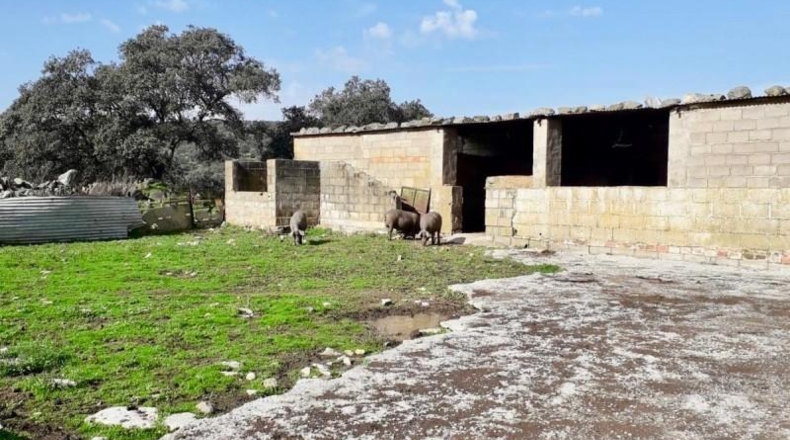 Cordova - Fuente Obejuna - 257600m2