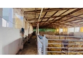 Terreno no urbanizable en venta en la España, Quintanar de la Orden, ref: TR410838 foto