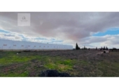 Terreno no urbanizable en venta en la España, Quintanar de la Orden, ref: TR410838 foto