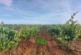 Montijo 98500&nbsp;m² 