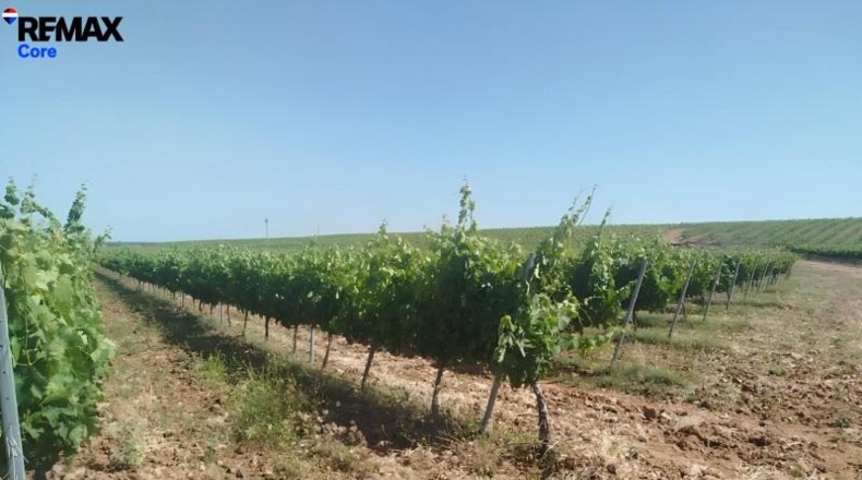Badajoz - Badajoz - 220000m2