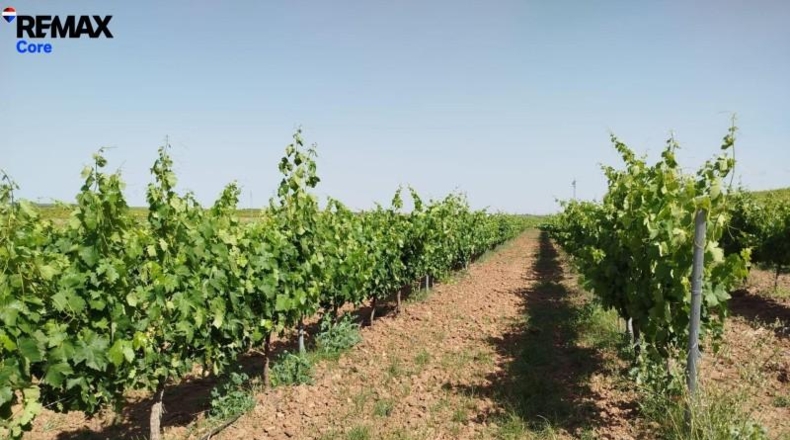 Badajoz - Badajoz - 220000m2
