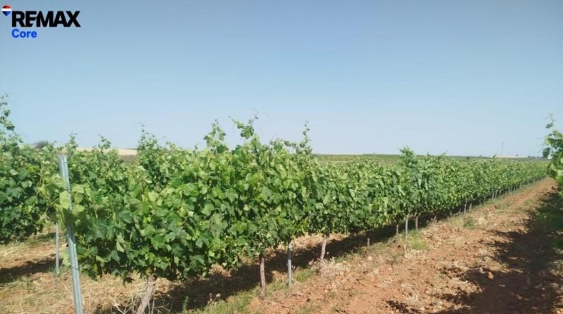 Badajoz - Badajoz - 220000m2