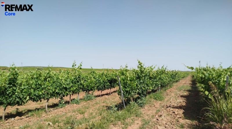 Badajoz - Badajoz - 220000m2