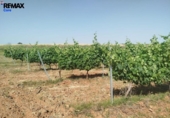 Non-developable land for sale on España, Badajoz, ref: TR410861 photo