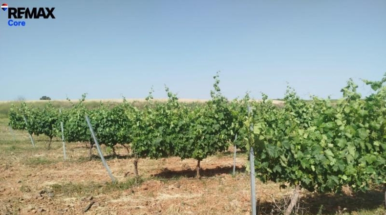 Badajoz - Badajoz - 220000m2