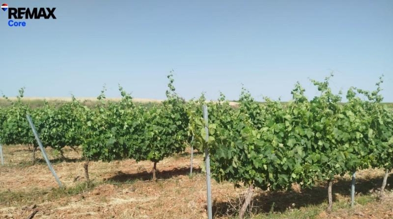 Badajoz - Badajoz - 220000m2