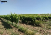 Non-developable land for sale on España, Badajoz, ref: TR410861 photo