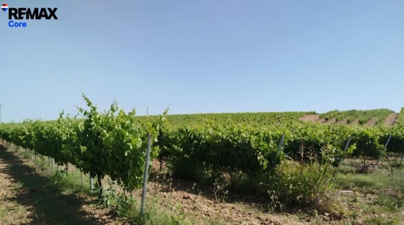 Badajoz - Badajoz - 220000m2