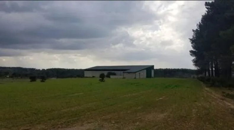 Salamanca - Fuenteguinaldo - 20000m2