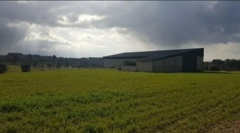 Salamanca - Fuenteguinaldo - 20000m2