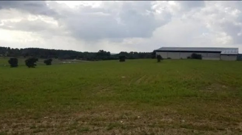 Salamanca - Fuenteguinaldo - 20000m2