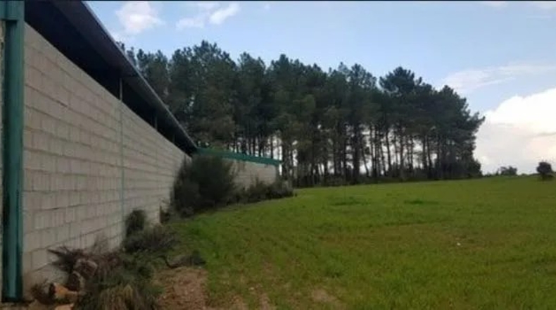 Salamanca - Fuenteguinaldo - 20000m2