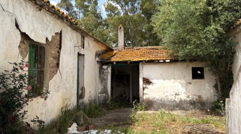 Cádiz - Jimena de la Frontera - 18000m2
