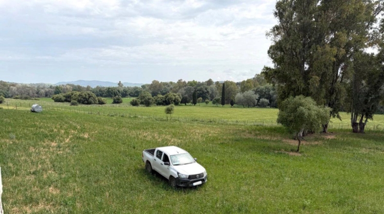 Cádiz - Jimena de la Frontera - 18000m2