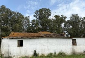 Foto 17