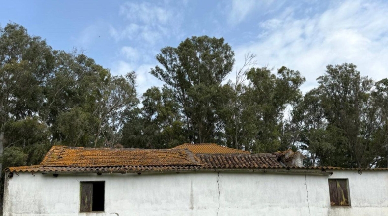 Cádiz - Jimena de la Frontera - 18000m2