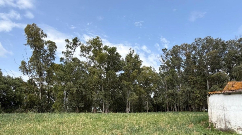 Cádiz - Jimena de la Frontera - 18000m2