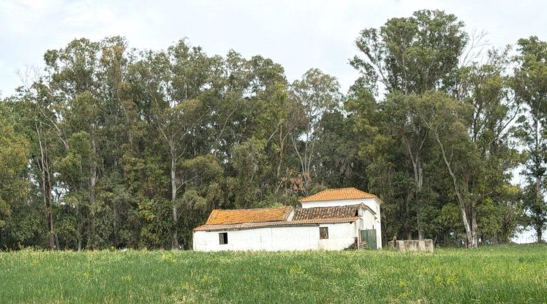 Cádiz - Jimena de la Frontera - 18000m2