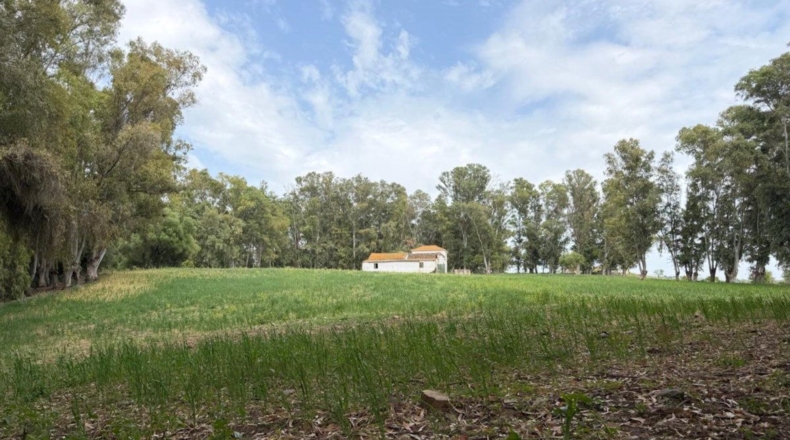 Cádiz - Jimena de la Frontera - 18000m2