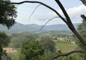 Finca rústica en venda a Jimena de la Frontera ref.: TR410848 foto