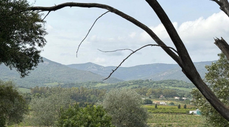 Cádiz - Jimena de la Frontera - 18000m2