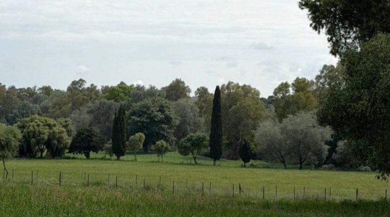 Cádiz - Jimena de la Frontera - 18000m2