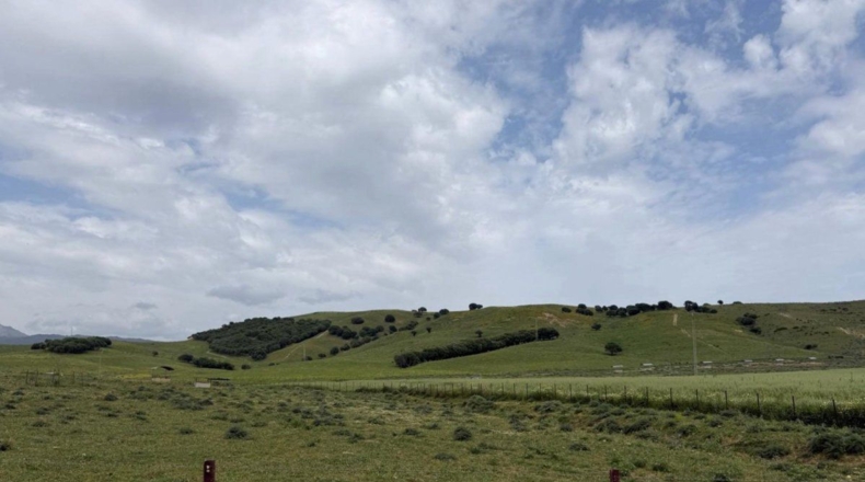 Cádiz - Jimena de la Frontera - 18000m2