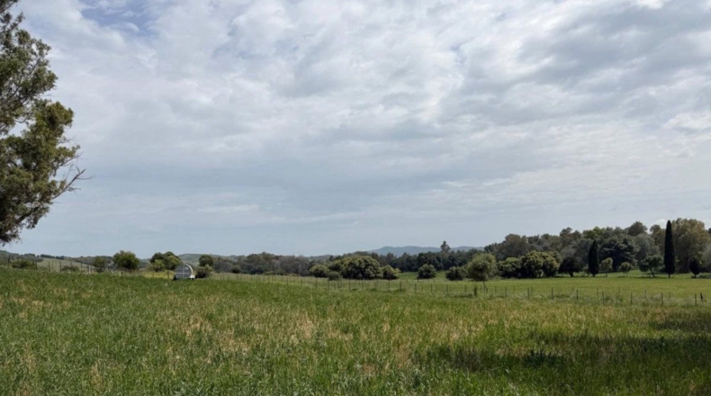 Cádiz - Jimena de la Frontera - 18000m2