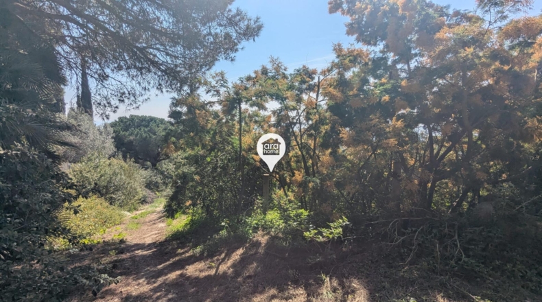 Barcelona - Sant Andreu de Llavaneres - 2200m2