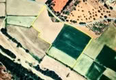 Land suitable for development for sale on Poligono 5, Sant Llorenç des Cardassar, ref: TR396419 photo