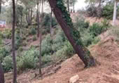 Terreno no urbanizable en venta en la Carrer del Mar Blanc, Lloret de Mar, ref: TR410855 foto