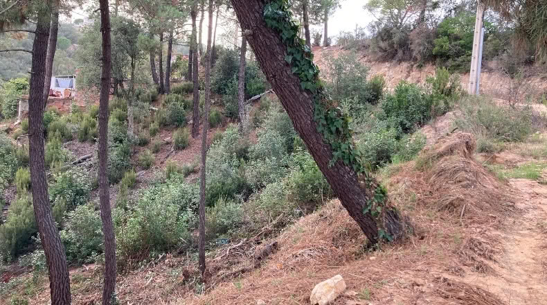 Gerona - Lloret de Mar - 601m2
