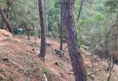 Terreno no urbanizable en venta en la Carrer del Mar Blanc, Lloret de Mar, ref: TR410855 foto
