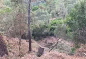 Terreno no urbanizable en venta en la Carrer del Mar Blanc, Lloret de Mar, ref: TR410855 foto